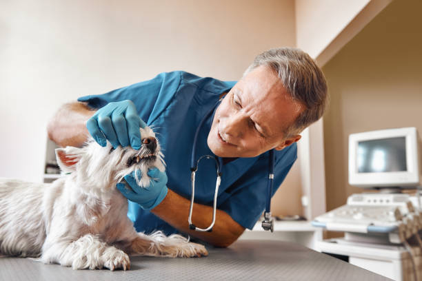 Best Emergency Denture Repair in Cedar Hill, TX